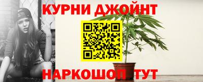 дживик Бийск