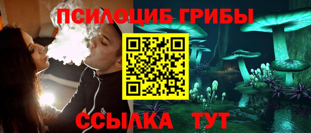 как найти закладки  Псилоцибиновые грибы Psilocybine cubensis  Вход с VPN  Керчь  Псилоцибиновые грибы Psilocybe 